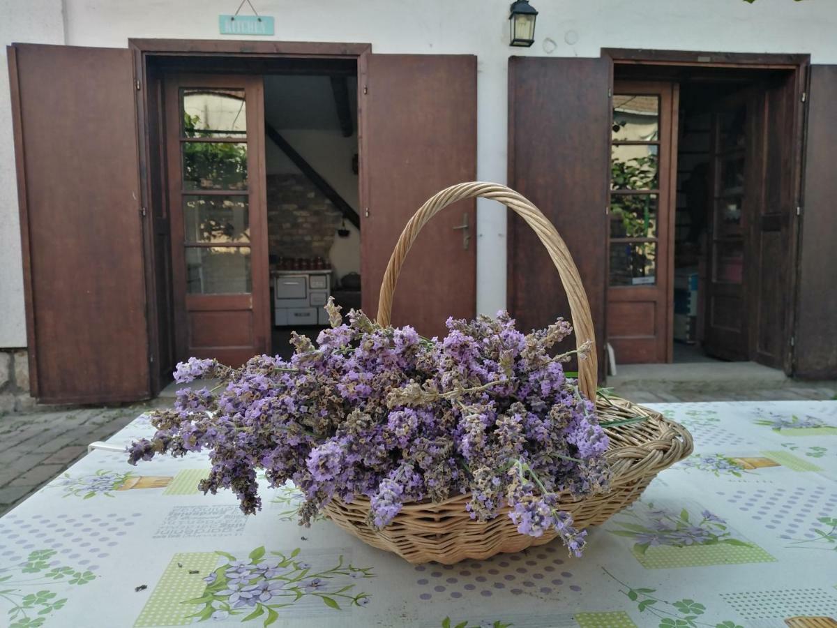 Sobe Gajic Sremski Karlovci Exterior foto